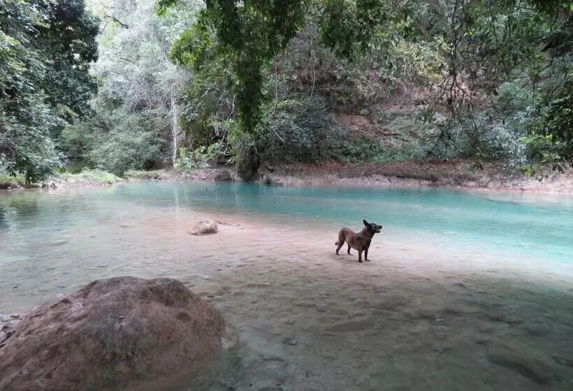 Hotelli Bel Ha Ecoparque