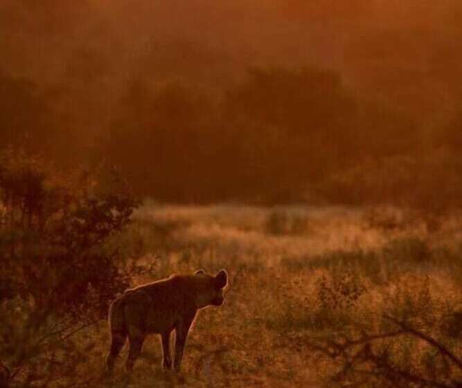 Отель Ivory Wilderness River Rock Lodge