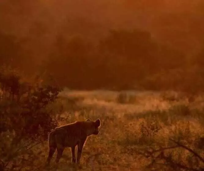 Hotelli Ivory Wilderness River Rock Lodge