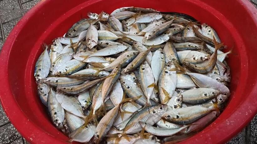 پانسیون Kim Lien Phu Quoc Guesthouse