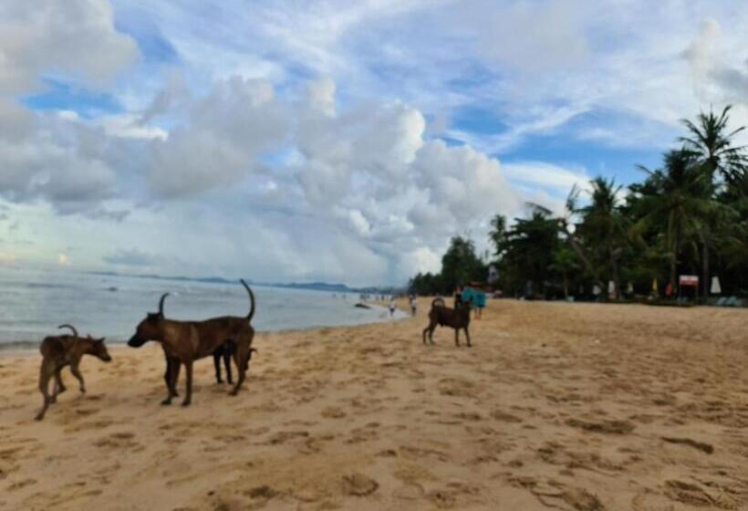 پانسیون Kim Lien Phu Quoc Guesthouse