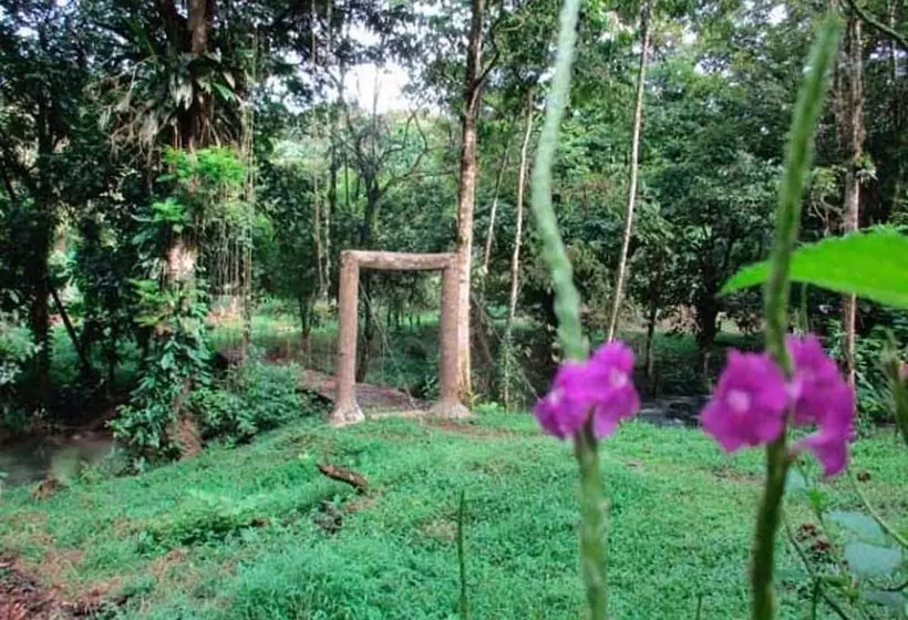 Vanilla Jungle Lodge   Bed & Breakfast