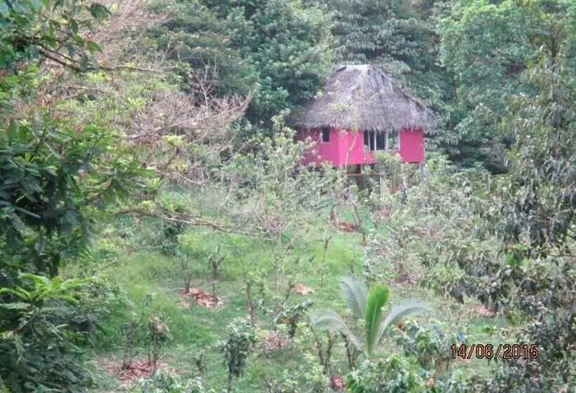 Vanilla Jungle Lodge   Bed & Breakfast