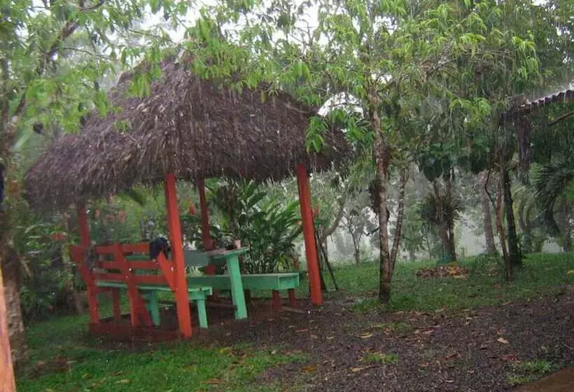 Vanilla Jungle Lodge   Bed & Breakfast