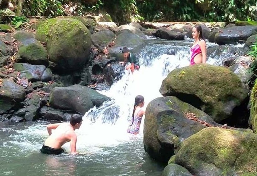 Vanilla Jungle Lodge   Bed & Breakfast