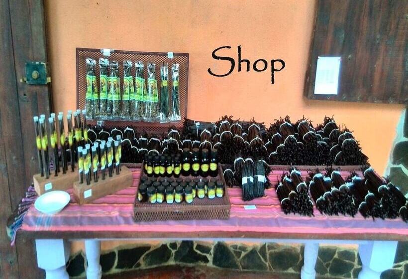 Vanilla Jungle Lodge   Bed & Breakfast