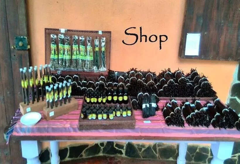 Vanilla Jungle Lodge   Bed & Breakfast