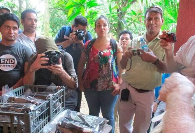 Vanilla Jungle Lodge   Bed & Breakfast