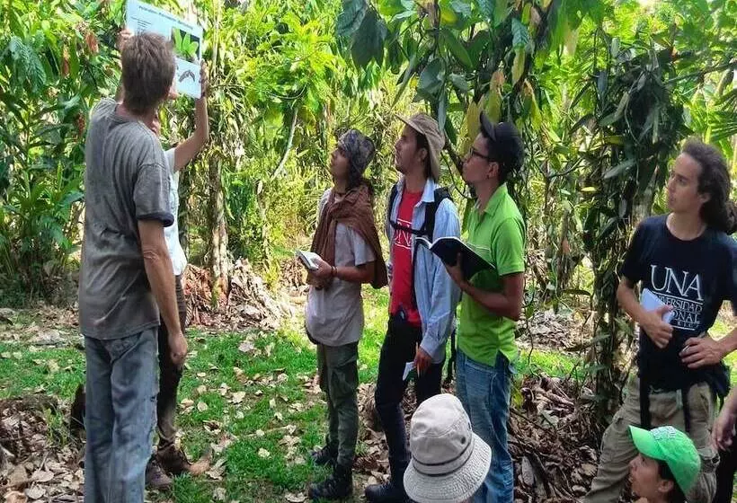 Vanilla Jungle Lodge   Bed & Breakfast