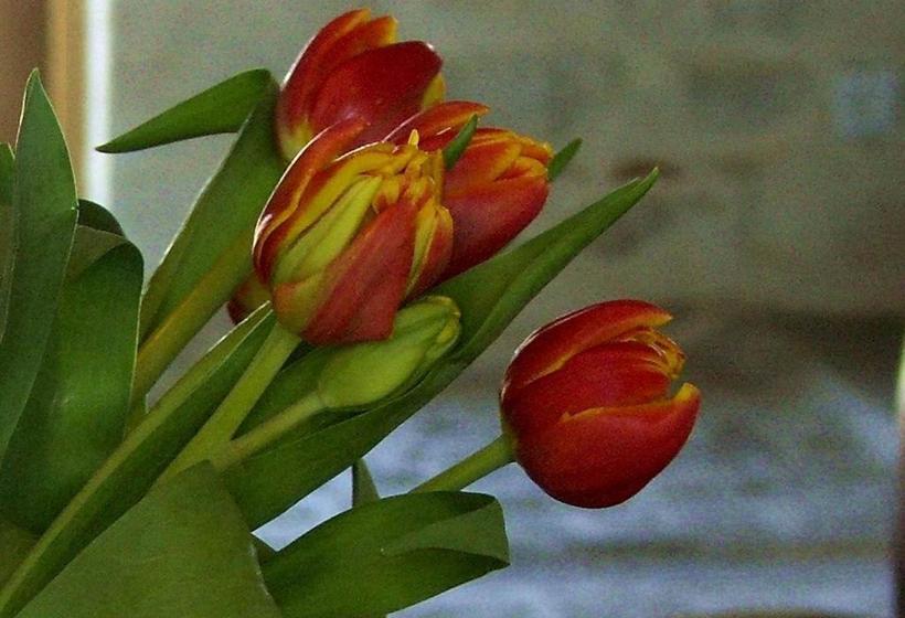 Bed and Breakfast Sur Le Chemin Des Buvats