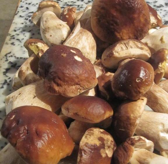 Bed and Breakfast Sur Le Chemin Des Buvats