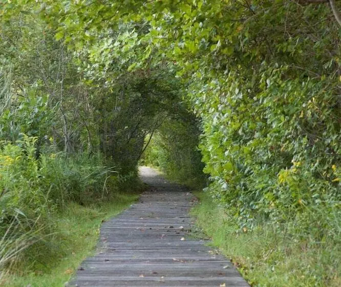 Отель Inn By The Sea