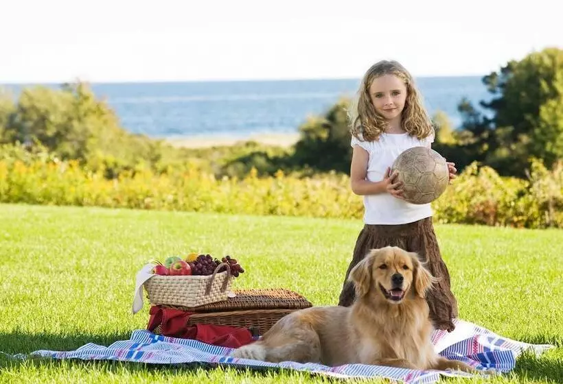 Отель Inn By The Sea