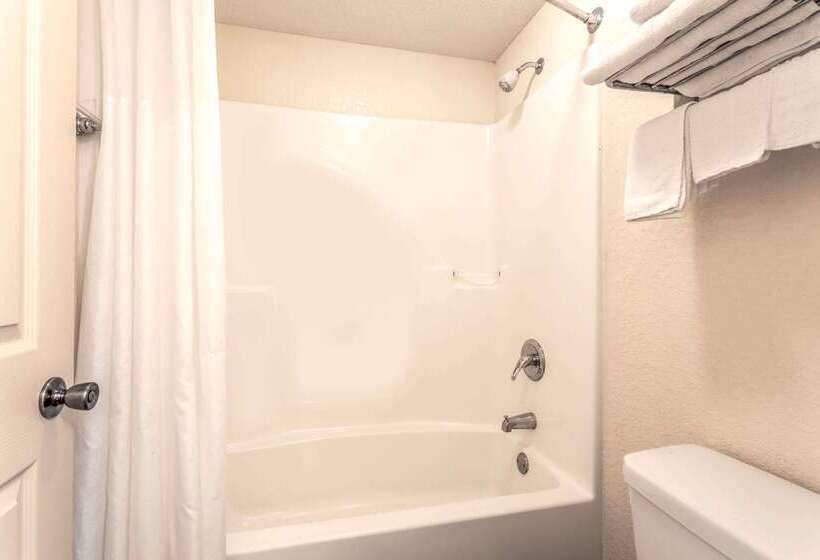 酒店 Knights Inn Seymour In