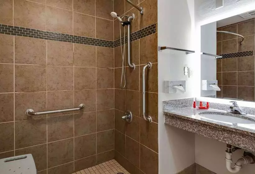 Surestay Plus Hotel By Best Western Asheboro