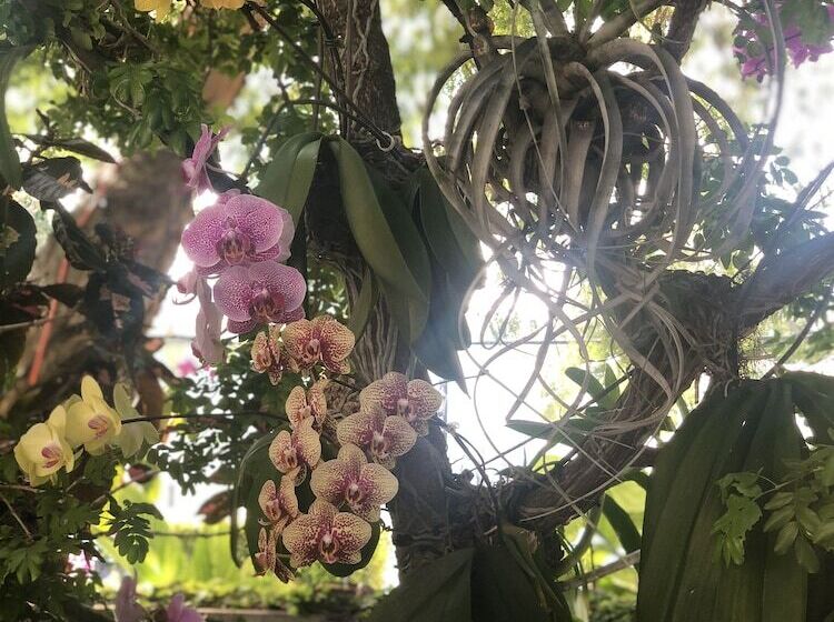 فندق على الطريق Orchid Key Inn Adults Only