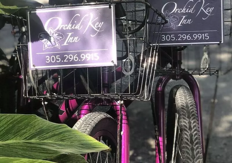 Мотель Orchid Key Inn Adults Only