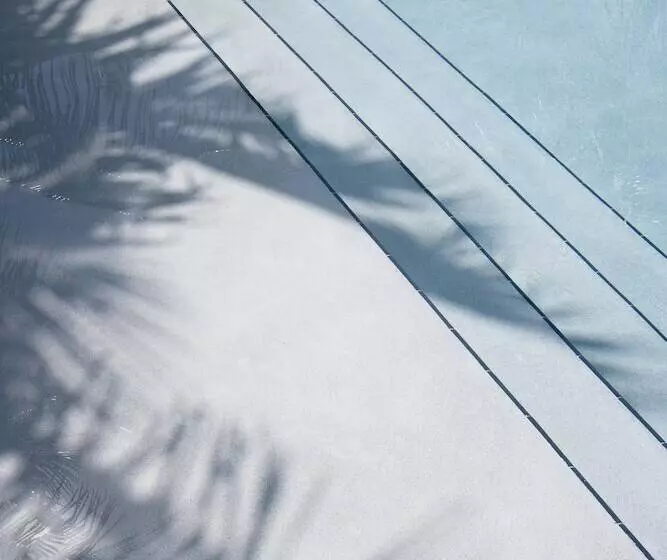 Мотель Orchid Key Inn Adults Only