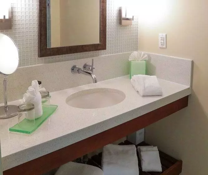 Мотель Orchid Key Inn Adults Only