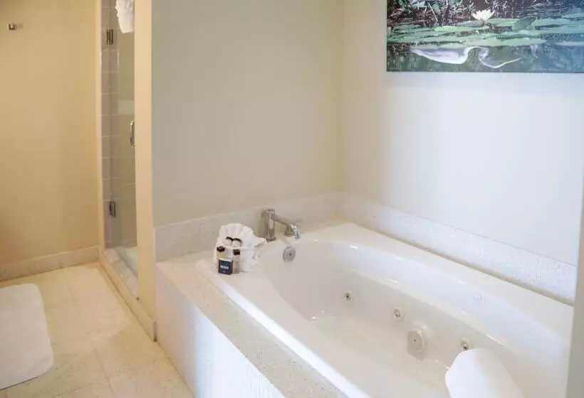 Мотель Orchid Key Inn Adults Only