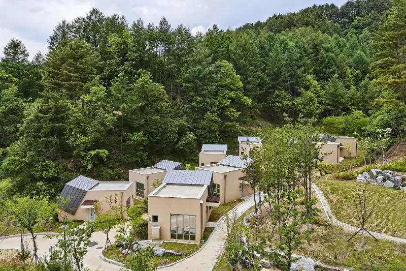 Hotelli Geumgangsong Ecorium