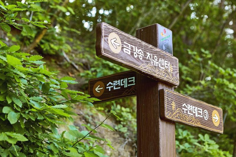 בית מלון כפרי Geumgangsong Ecorium