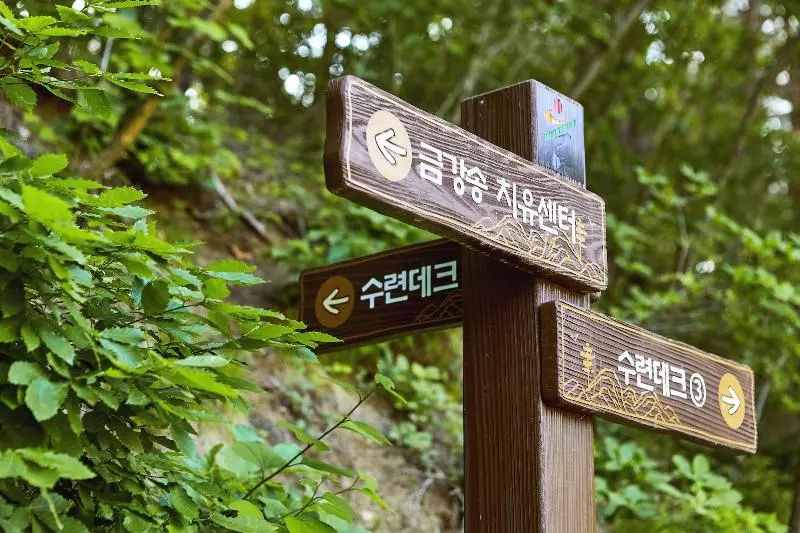 Hotelli Geumgangsong Ecorium