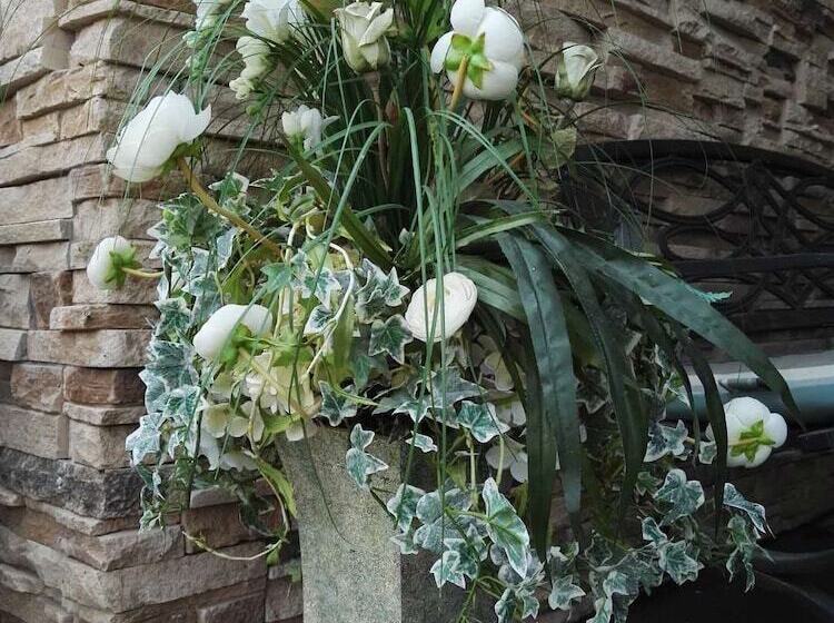 Sunny Island By White Rock B&b