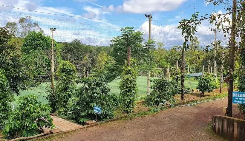 تختخواب و صبحانه Tithonia Homestay