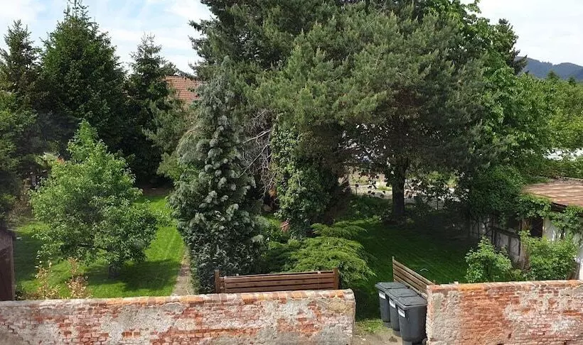 Hotelli Das Friedrich