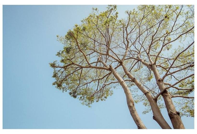 Candyfloss B&b Kaohsiung