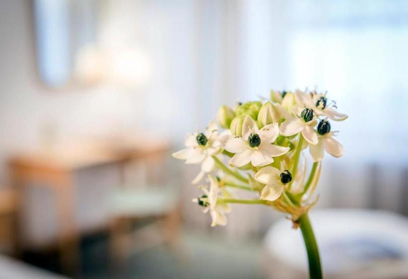 בית מלון כפרי Cresta.alpin.sport.