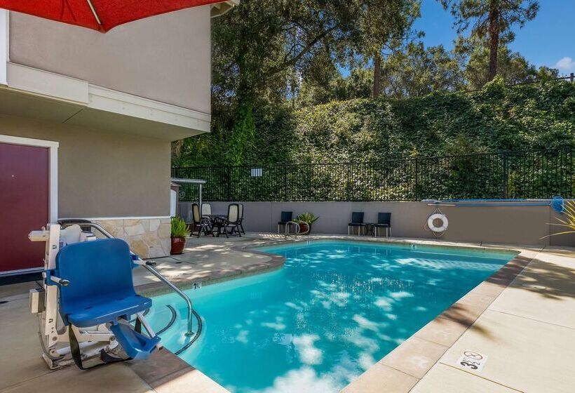 בית מלון כפרי Best Western The Inn Of Los Gatos