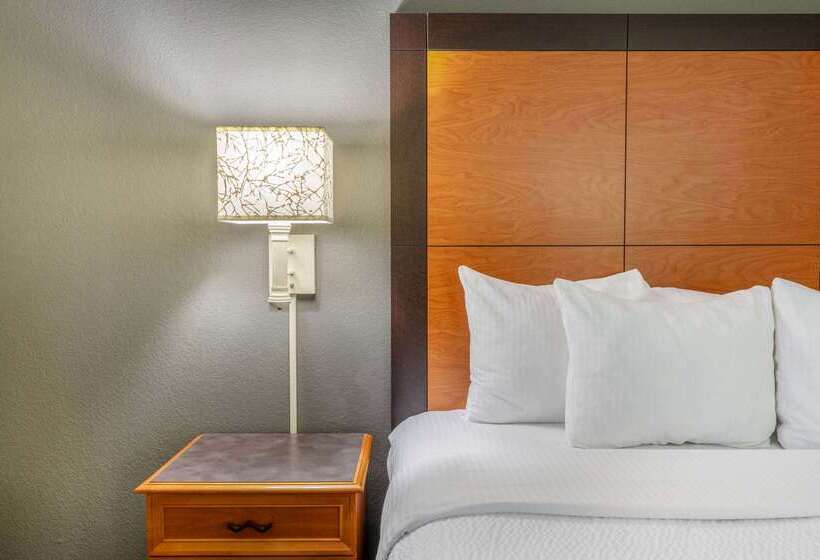 هتل La Quinta By Wyndham Pueblo