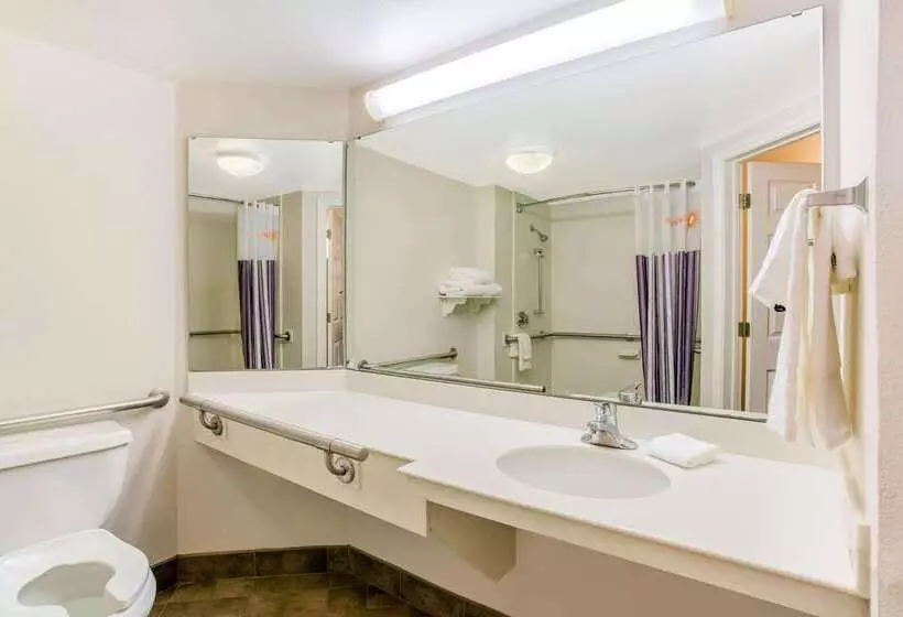 酒店 La Quinta By Wyndham Raleigh Durham Intl Ap