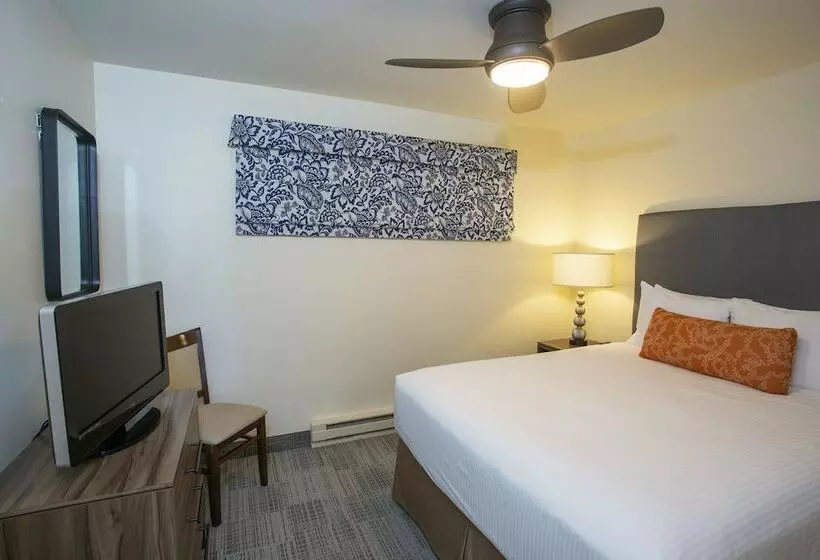 ホテル Lakeshore Inn