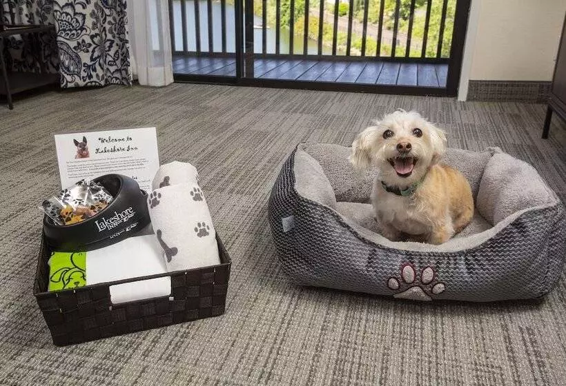 ホテル Lakeshore Inn