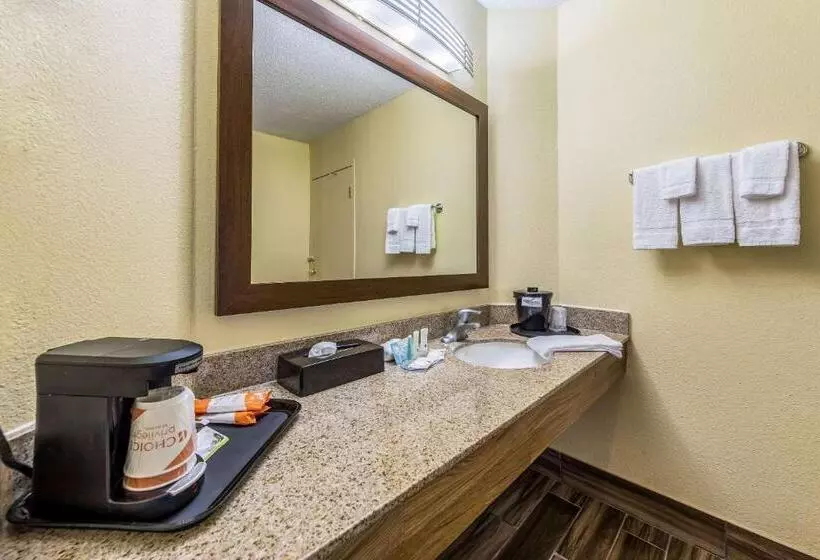 酒店 Quality Inn Clemson Near University