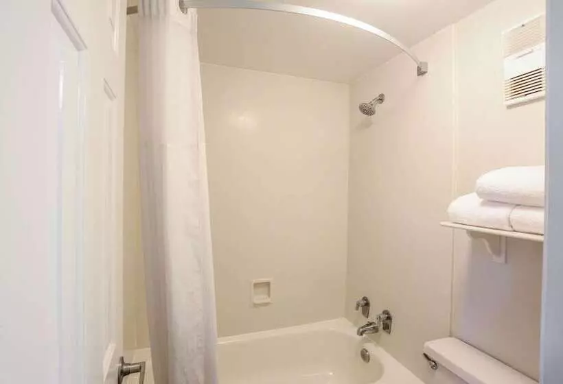 ホテル Quality Inn & Suites North Charleston Ashley Phosphate