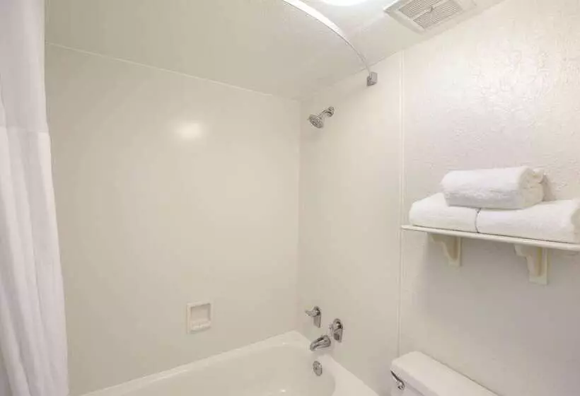 ホテル Quality Inn & Suites North Charleston Ashley Phosphate
