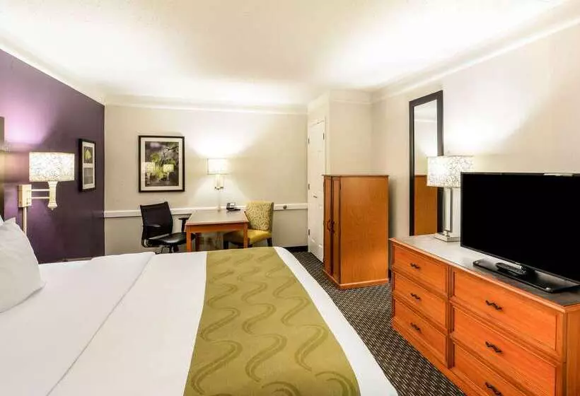 ホテル Quality Inn & Suites North Charleston Ashley Phosphate