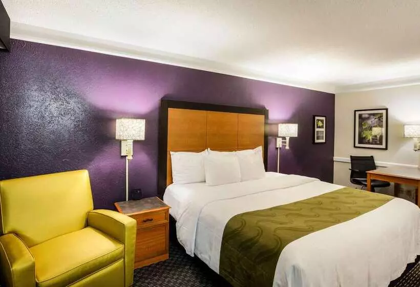 ホテル Quality Inn & Suites North Charleston Ashley Phosphate