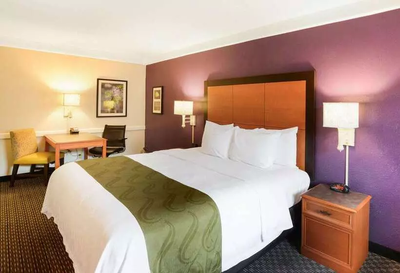 ホテル Quality Inn & Suites North Charleston Ashley Phosphate