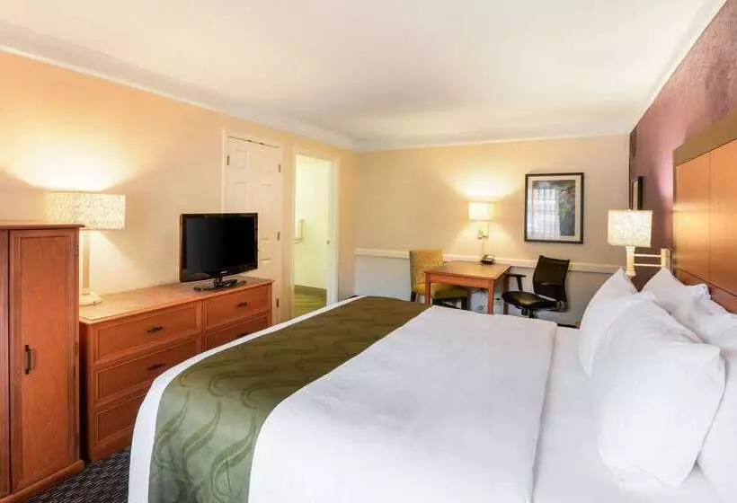 ホテル Quality Inn & Suites North Charleston Ashley Phosphate