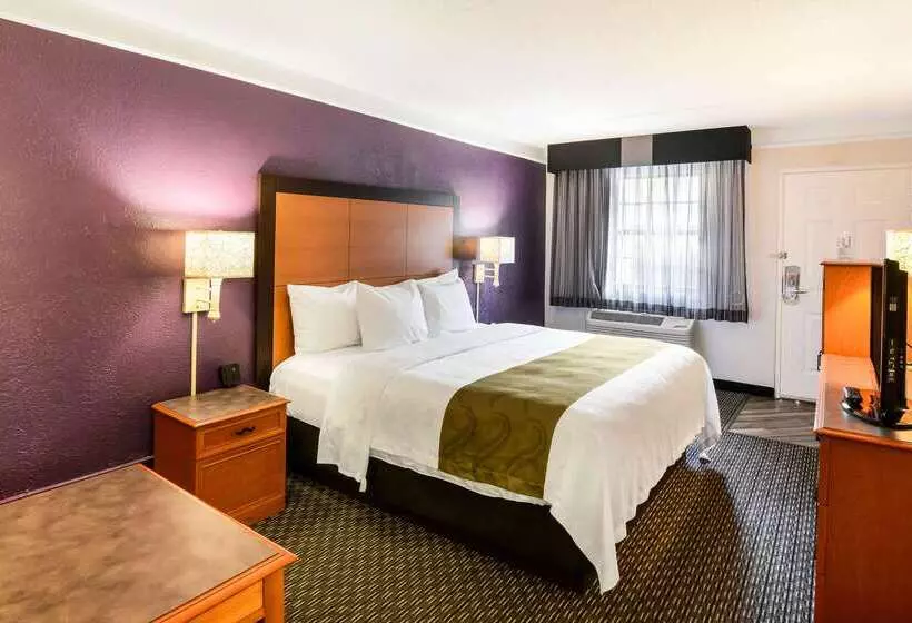 ホテル Quality Inn & Suites North Charleston Ashley Phosphate