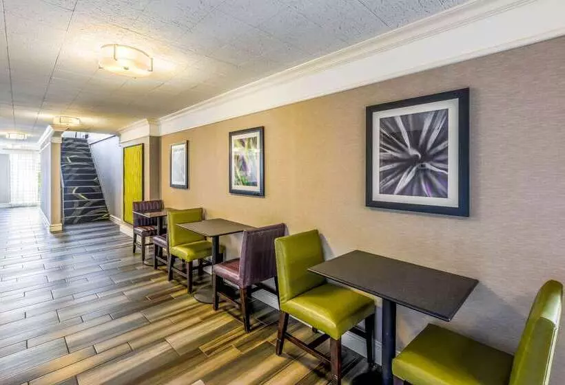 ホテル Quality Inn & Suites North Charleston Ashley Phosphate