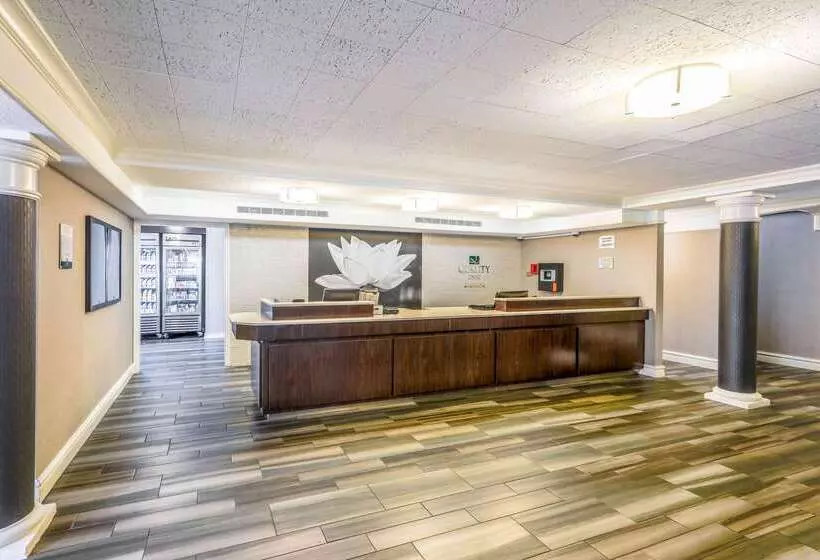 ホテル Quality Inn & Suites North Charleston Ashley Phosphate