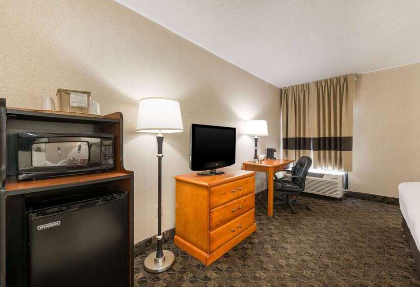 Отель Quality Inn & Suites