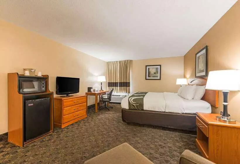 Отель Quality Inn & Suites