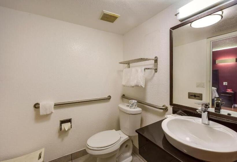 בית מלון כפרי Red Roof Inn Plano